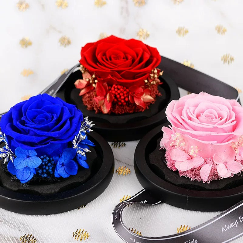 Mini Heart Rose Dome