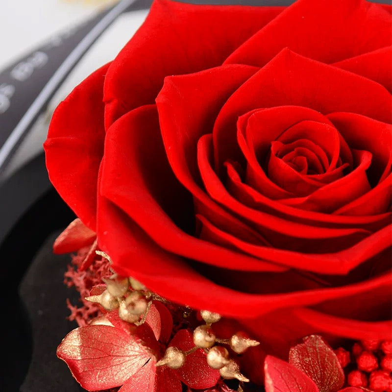 Mini Heart Rose Dome