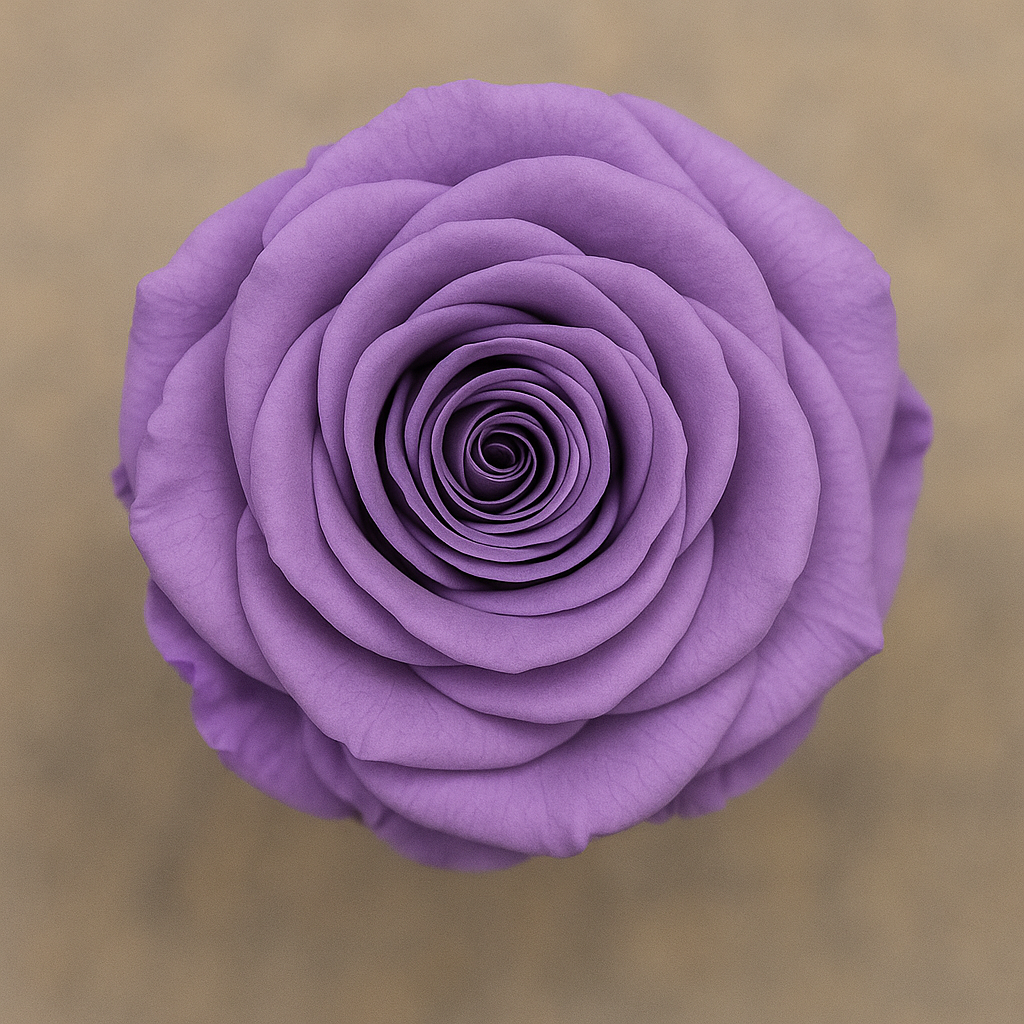 Heart Rose Box