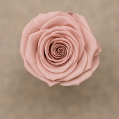 Elegance Rose Box