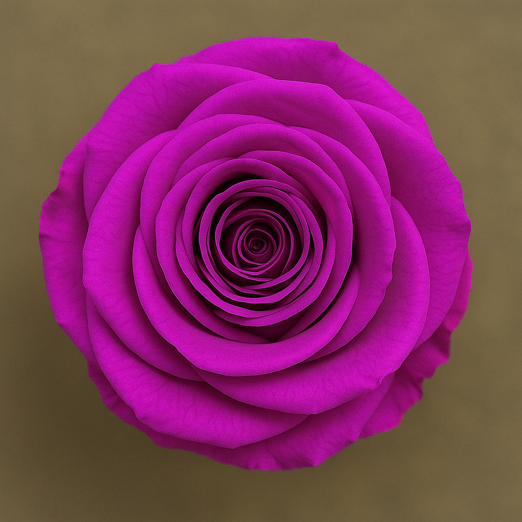 Heart Rose Box
