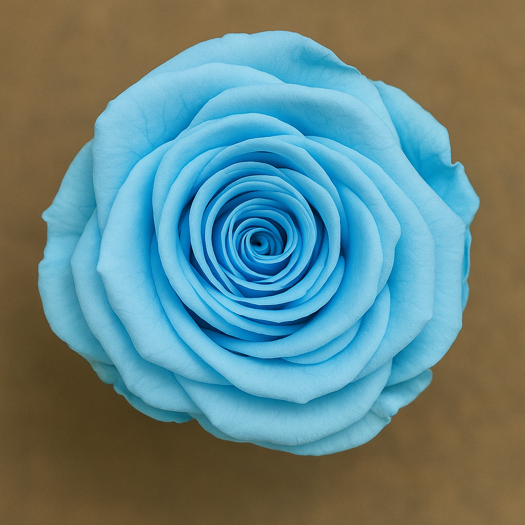 Heart Rose Box