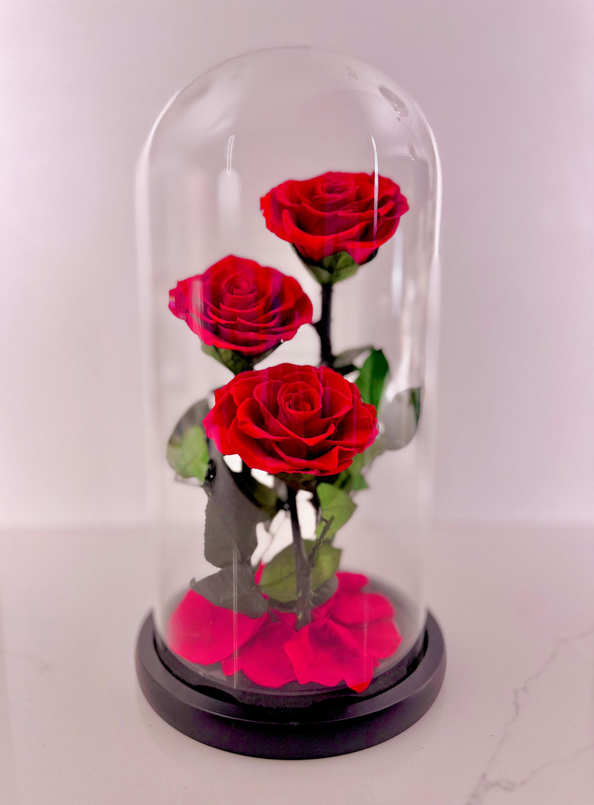Trinity Rose Harmony Dome