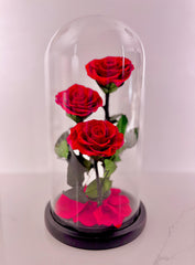 Trinity Rose Harmony Dome