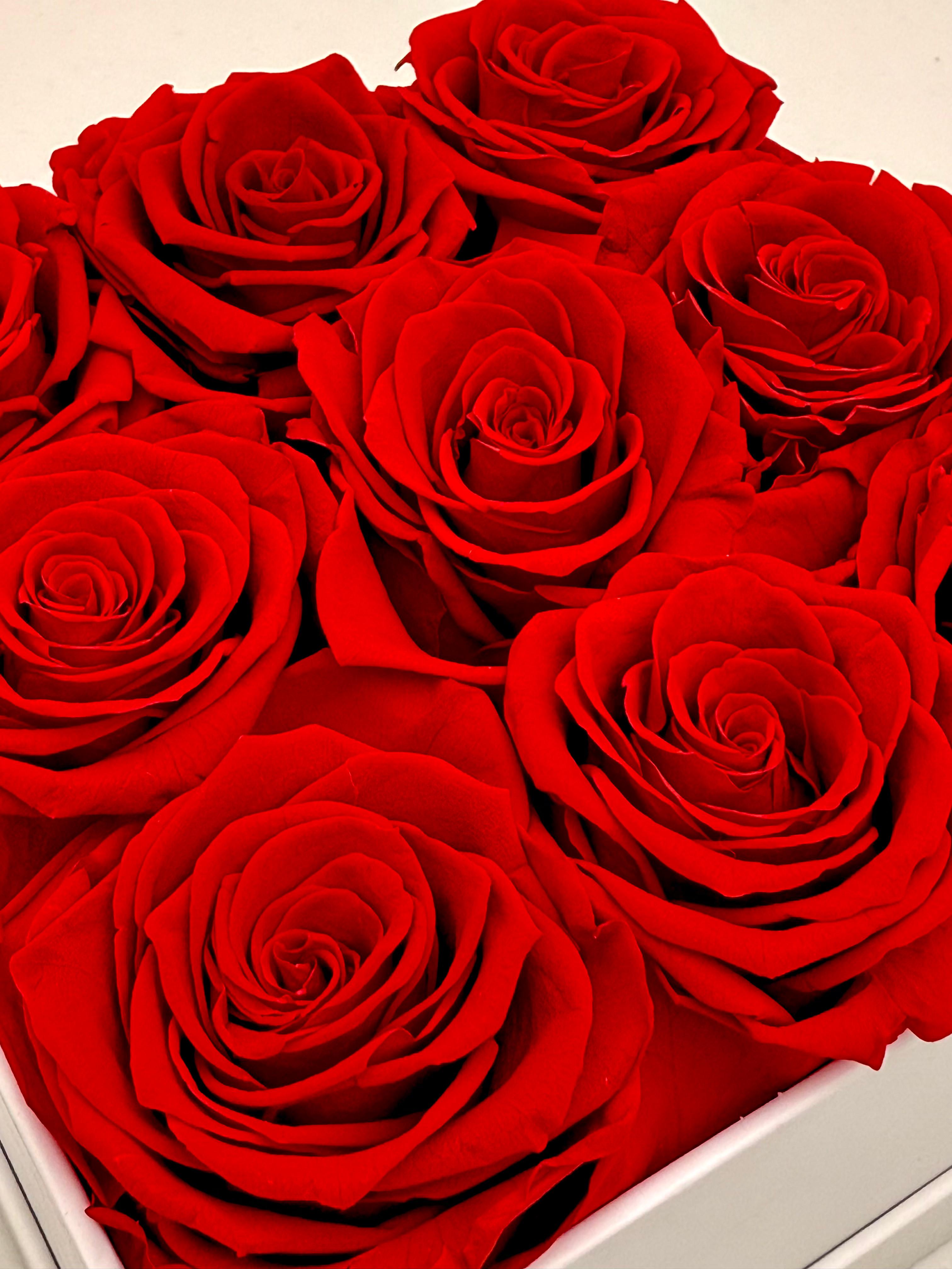 Elegance Rose Box